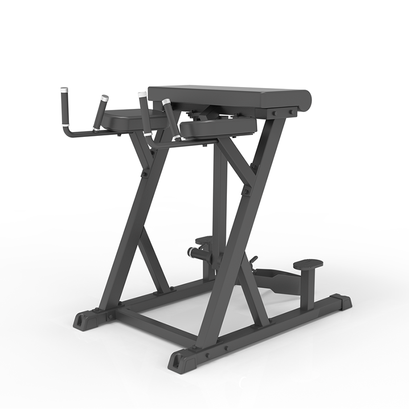 IFP1619 Revers Hyperextension
